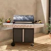 Barbecue a gas con 6 bruciatori + 1 laterale