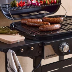 Barbecue elettrico 2 bruciatori, acciaio smaltato 2300W