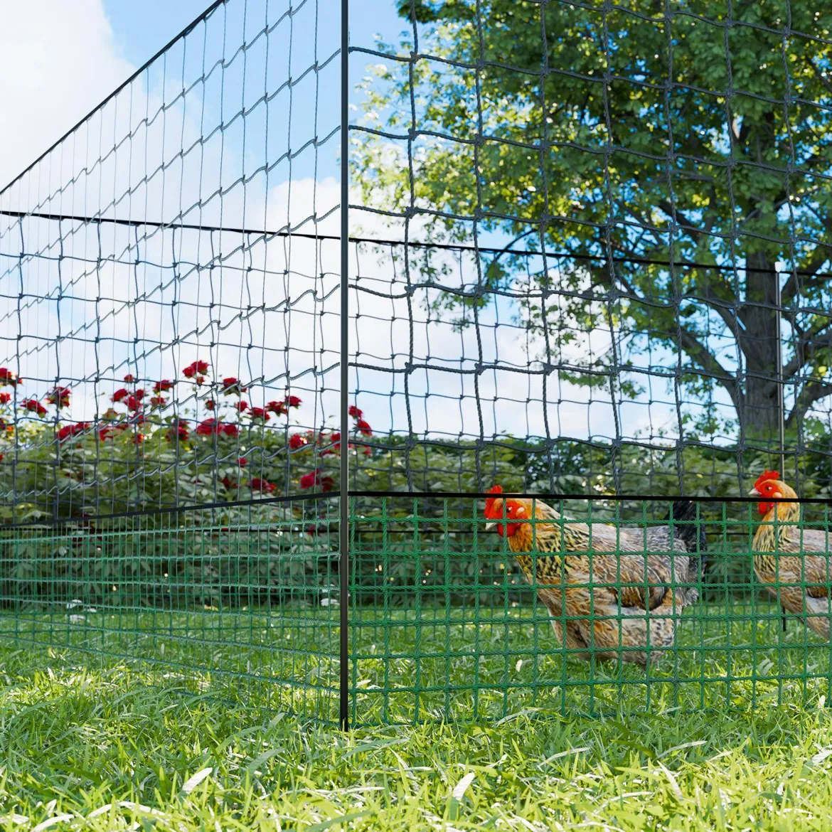 Kit di recinzione in rete modulare per galline