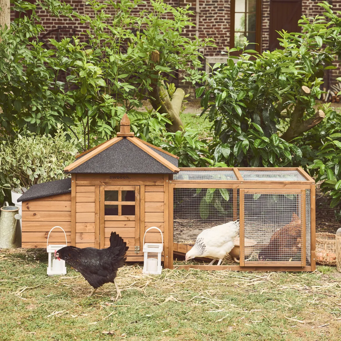 Pollaio in legno con recinto per 2 galline
