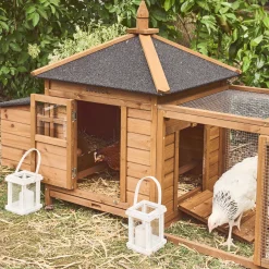 Pollaio in legno con recinto per 2 galline