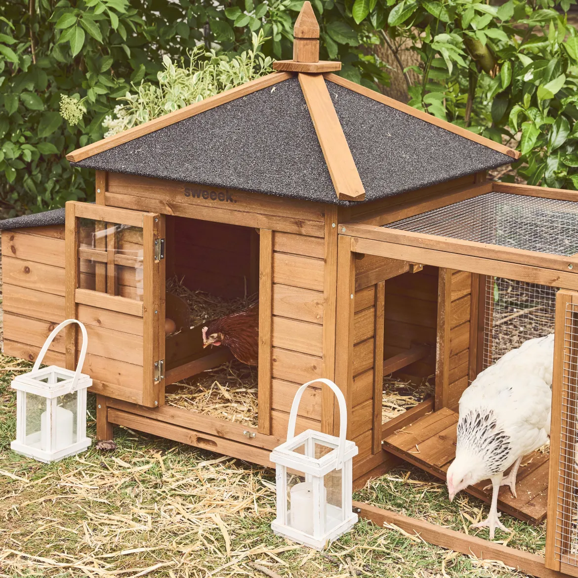 Pollaio in legno con recinto per 2 galline