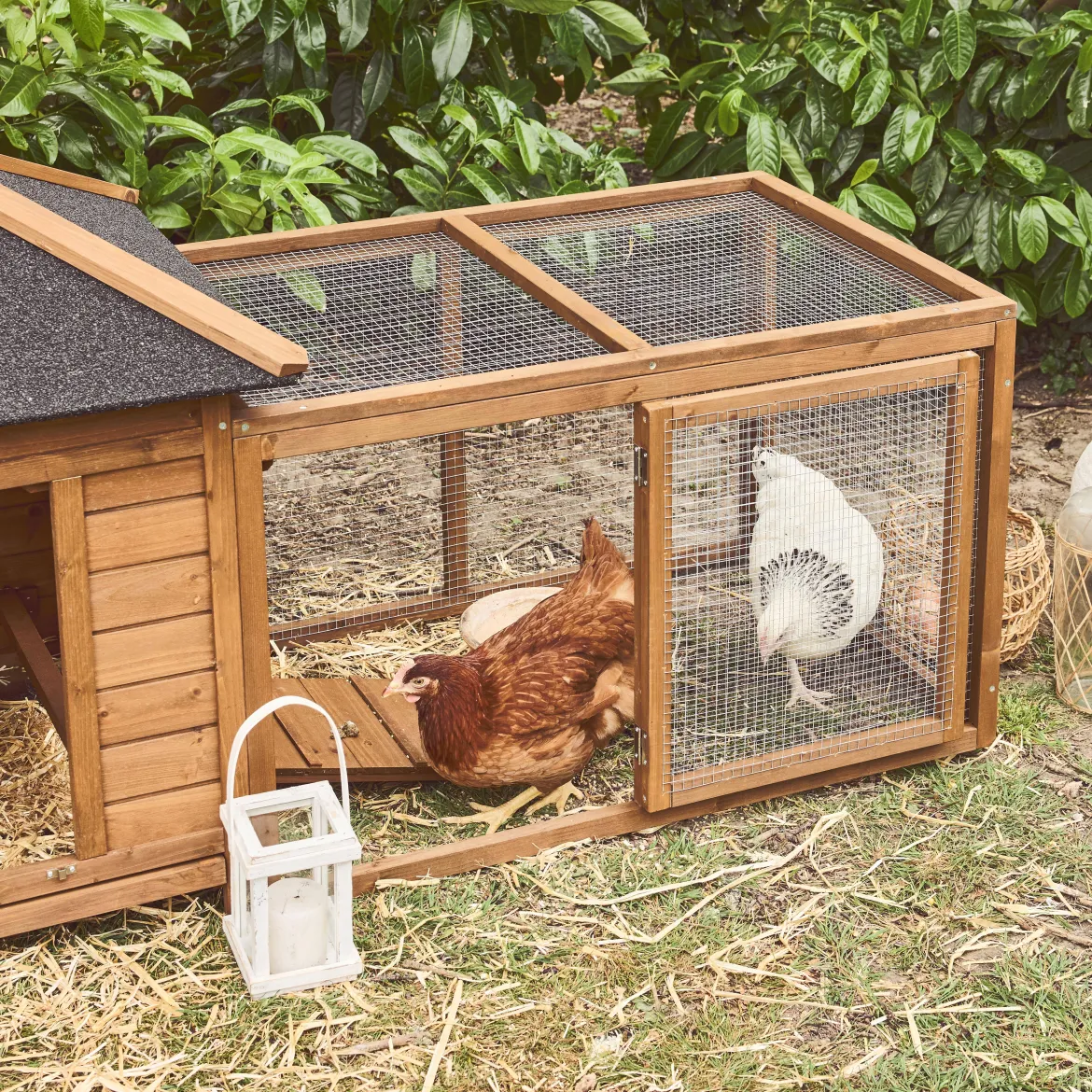 Pollaio in legno con recinto per 2 galline