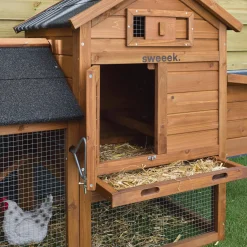 Pollaio in legno con recinto per 3 galline