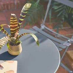 Set tavolo da giardino bistrot pieghevole in acciaio con 2 sedie, Ø60cm
