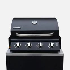 Set di 7 moduli da cucina con barbecue + copertura